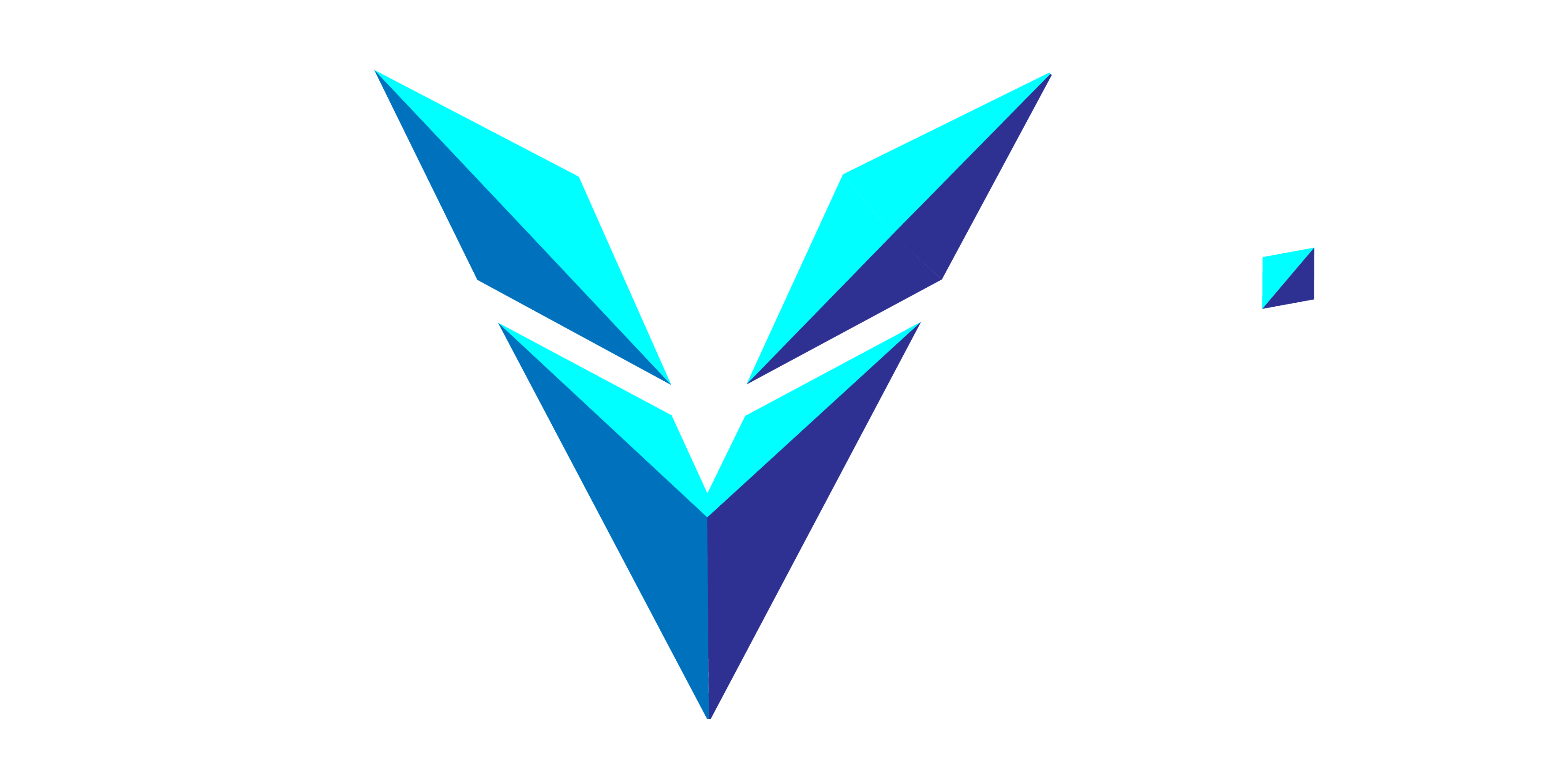 Envalis Technology Solutions